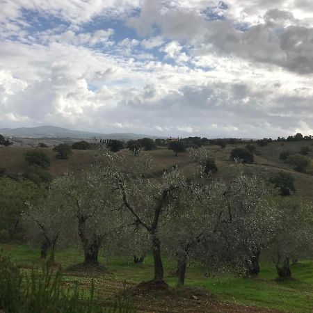 Podere Pini Magliano in Toscana Esterno foto