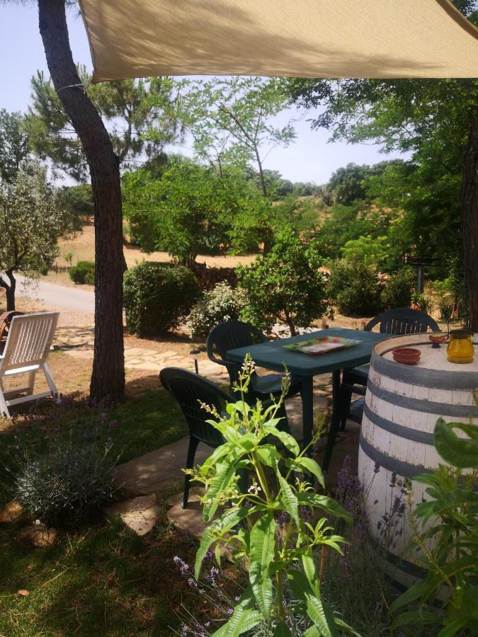 Podere Pini Magliano in Toscana Esterno foto