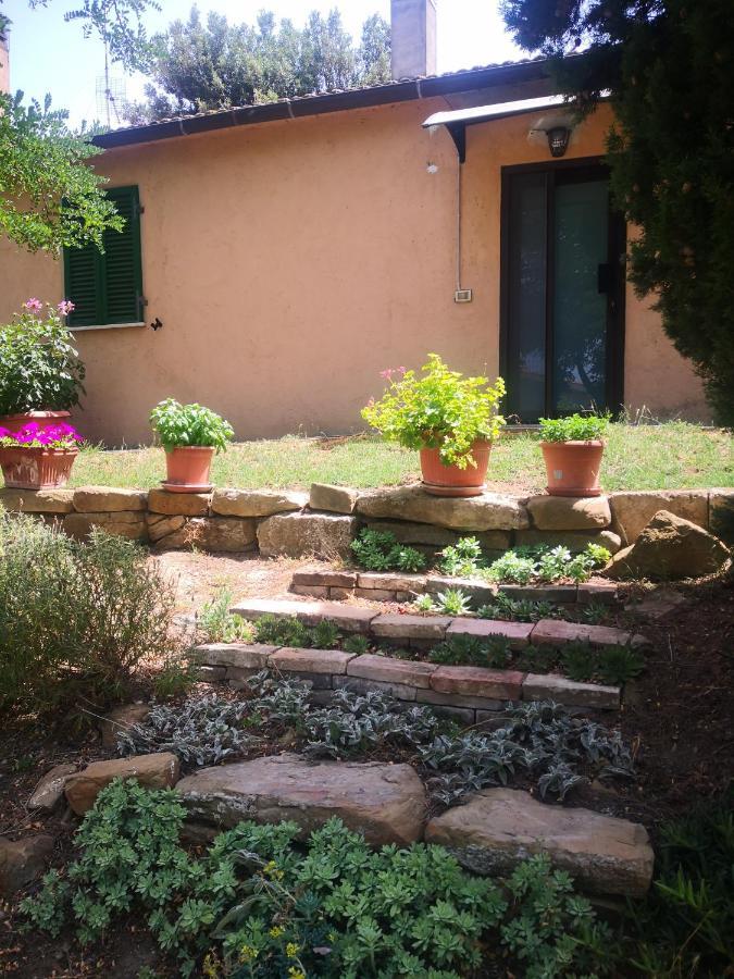 Podere Pini Magliano in Toscana Esterno foto