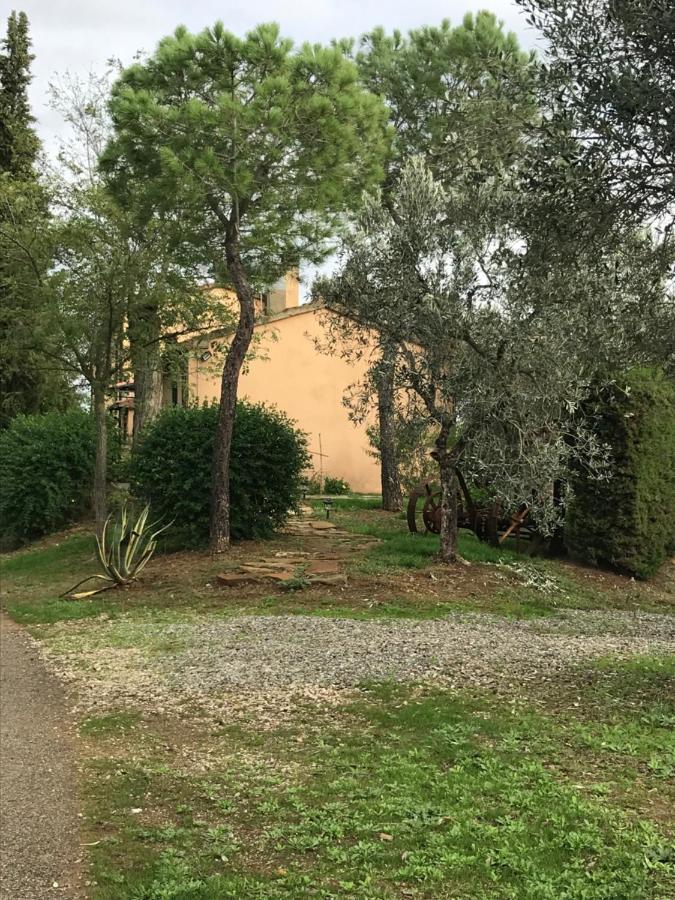 Podere Pini Magliano in Toscana Esterno foto