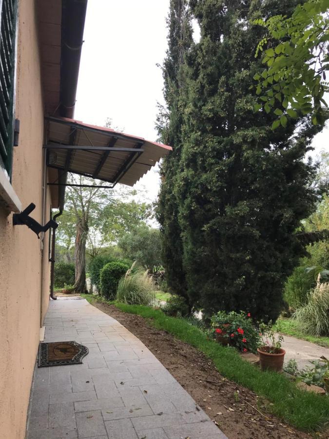 Podere Pini Magliano in Toscana Esterno foto