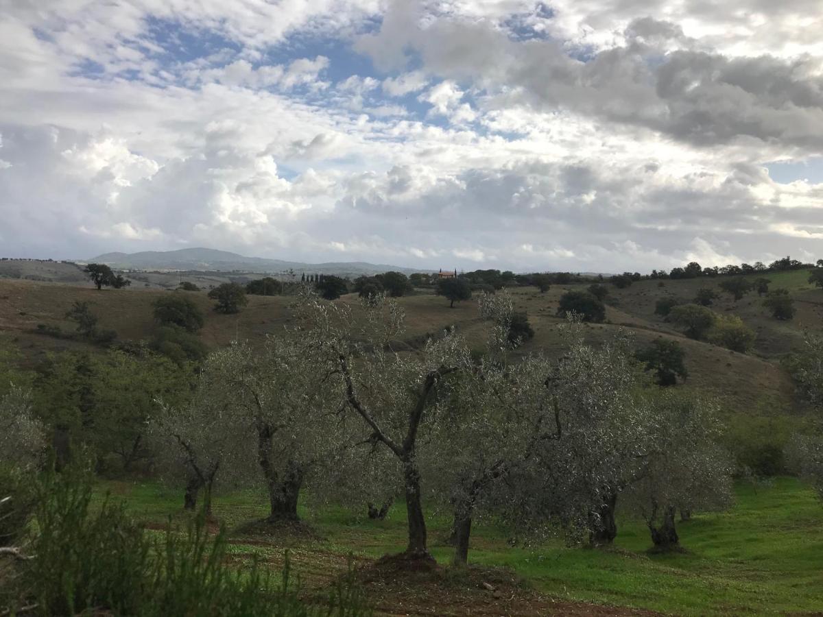 Podere Pini Magliano in Toscana Esterno foto